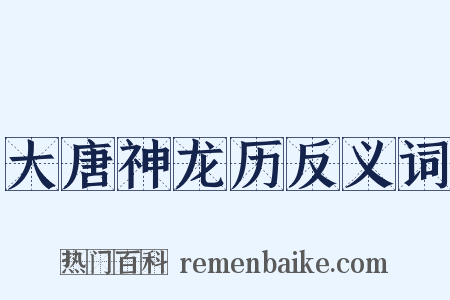 大唐神龙历反义词是什么意思的图片